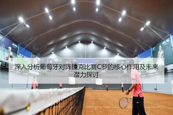 深入分析葡萄牙对阵捷克比赛C罗的核心作用及未来潜力探讨