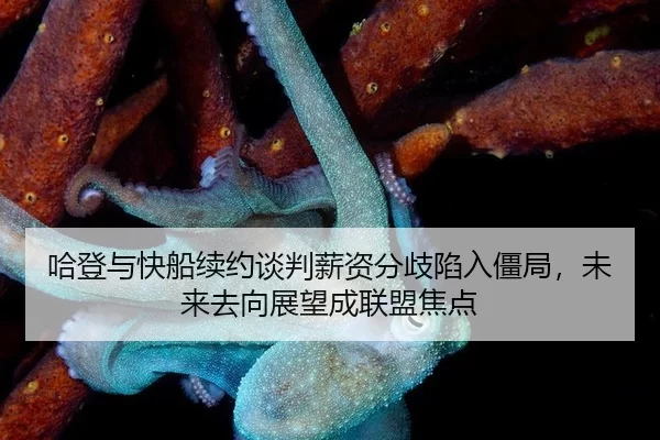 ha-deng-yu-kuai-chuan-xu-yue-tan-pan-xin-zi-fen-qi-xian-ru-jiang-ju-wei-lai-qu-xiang-zhan-wang-cheng-lian-meng-jiao-dian-2-348.jpg